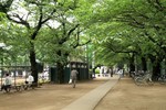 20110522_005742.JPG