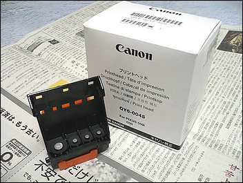 qy6_0045.jpg